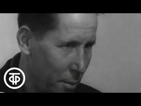 Видео: Солдатские мемуары. Фильм 5. Не машина, а золото! (1976)