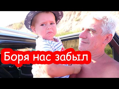 Видео: VLOG К нам приехали милые ёжики