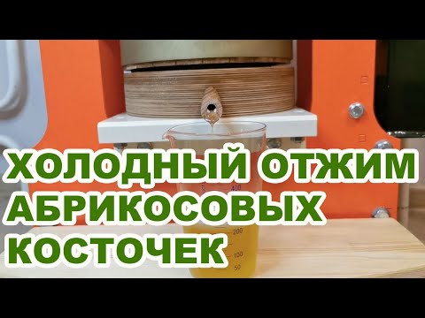 Видео: Холодный отжим масла из абрикосовых косточек