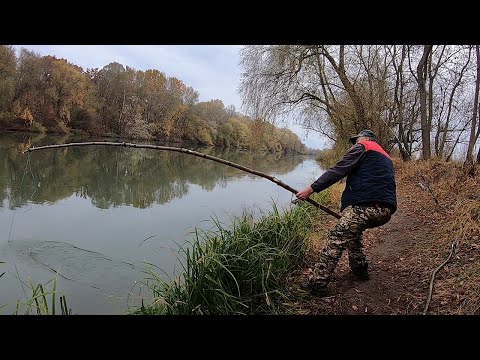 Видео: Осенняя рыбалка. На безрыбье и рак рыба. Ловля раков