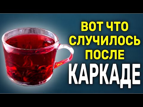Видео: КАРКАДЕ! Мощная польза в одной чашке. Почему стоит пить каждый день?