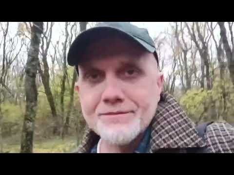 Видео: "ОСЕННЯЯ ПРОГУЛКА"                                                    моиразмышлизмы(РАД)