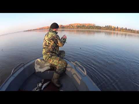 Видео: Осенняя ловля сетями.Захотелось свежей рыбки