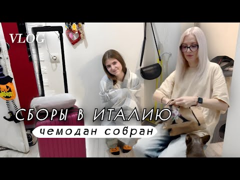 Видео: Сборы в Италию. Покупки в дорогу. Собираем чемодан. Возвращение друзей и обновка для яиц.