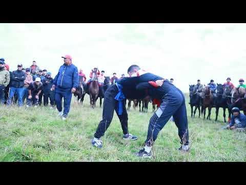 Видео: Улан Балбандын улагы