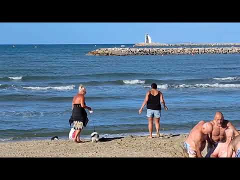 Видео: Происшествие на море.Спасаю цветы из моего упавшего кашпо. Посадила олеандр.