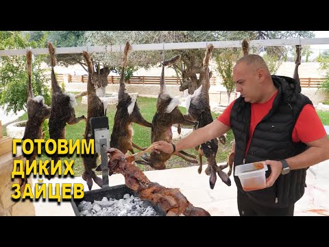 Видео: ГОТОВИМ ДИКИХ ЗАЙЦЕВ РАЗНЫМИ СПОСОБАМИ
