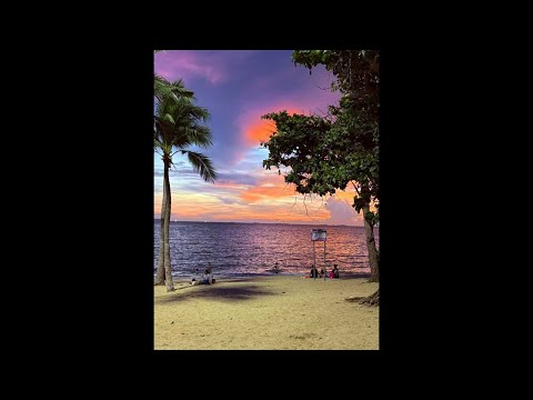 Видео: 🌴ПАТТАЙЯ В ПРЯМОМ ЭФИРЕ У САМОГО МОРЯ🌊