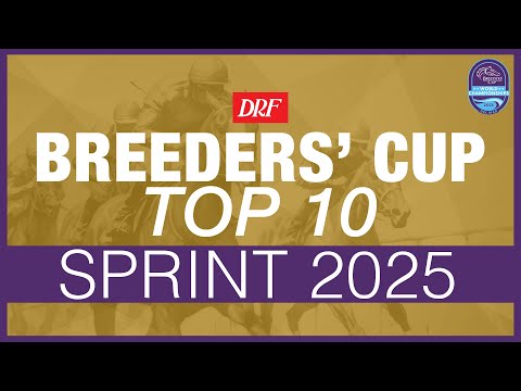 Видео: Фокус на Кубке заводчиков | Спринт 2025