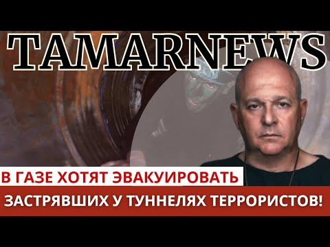 Видео: Китайские автомобили воруют данные о солдатах ЦАХАЛа, Красный крест спасает "воинов" ХАМАСа. Тамар