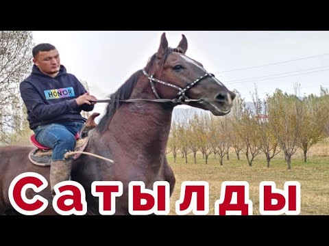 Видео: Чыкты Сатылды✊️