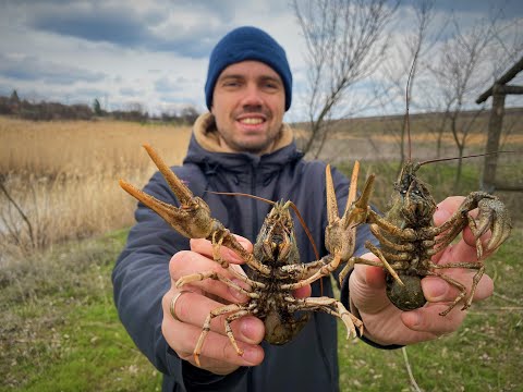 Видео: КОПАНКА С РАКАМИ СПУСТЯ ДВА ГОДА!!! ТАКОГО Я НЕ ОЖИДАЛ!!!