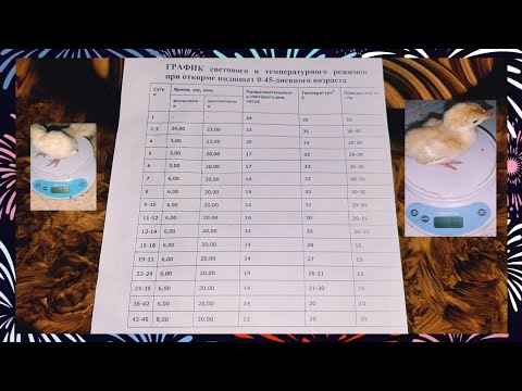 Видео: ГРАФИК. Ҷадвали Свет Ва Градусои даркори Чуҷаи Индюк