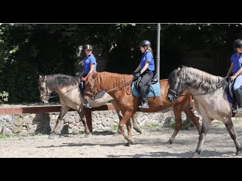 Видео: Ирина Ларионова, конный клуб Лаир: о вятках. И не только. Часть3