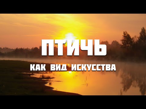 Видео: Птичь от истока до устья (ч. 9)