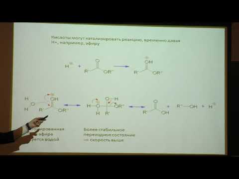 Видео: Клячко Н. Л. - Механизмы ферментативного катализа - 1. Введение в курс. Общая информация