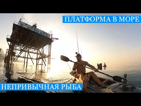 Видео: Чёрное Море и Чёрная Речка - РЫБАЛКА и ПРИКЛЮЧЕНИЯ!)) Новые впечатления, добыча и живность!!