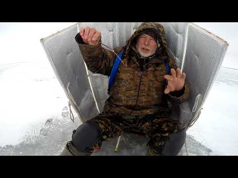 Видео: Это рыба Маныча. Приёмы ловли со льда от Юрия Философа. Часть первая.  Январь 2024  год.