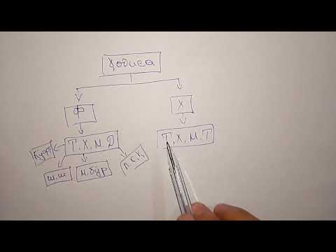 Видео: Химия Дарси 2 "Ҳодисаҳо ва навъҳои он"