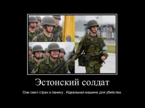 Видео: Боеготовность Эстонской армии. Комментатор жжёт.