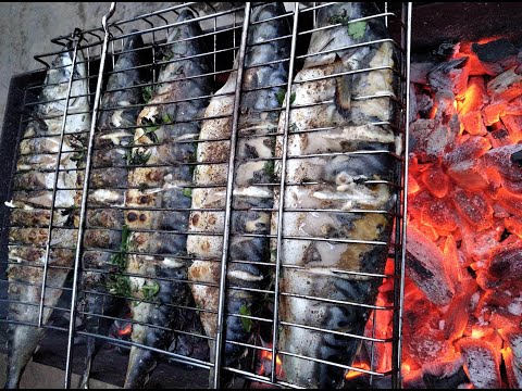 Видео: Скумбрия фаршированная зеленью на углях