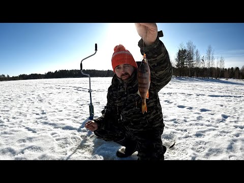 Видео: РЫБАЛКА В КАРЕЛИИ! ОНЕГО / МАРТ 2024 !