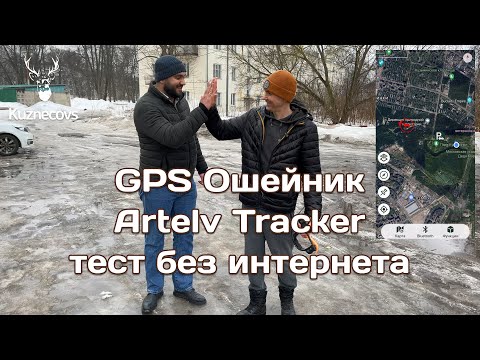 Видео: Реальный тест GPS ошейника Artelv Tracker SOLO в лесу без интернета