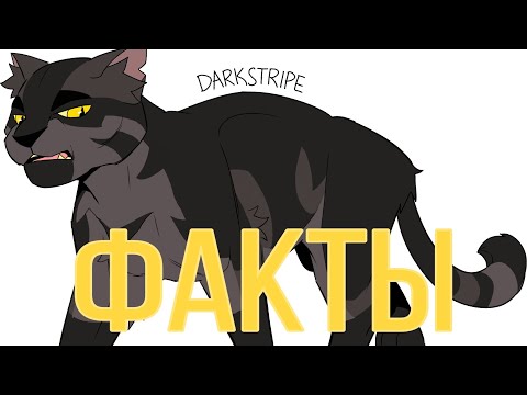 Видео: Факты о Частоколе|«Коты-Воители»