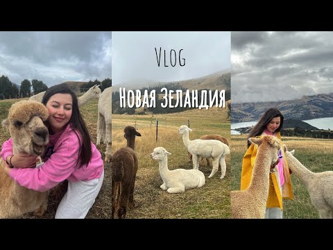 Видео: Vlog: Прилетела в Новую Зеландию, жизнь Стюардессы