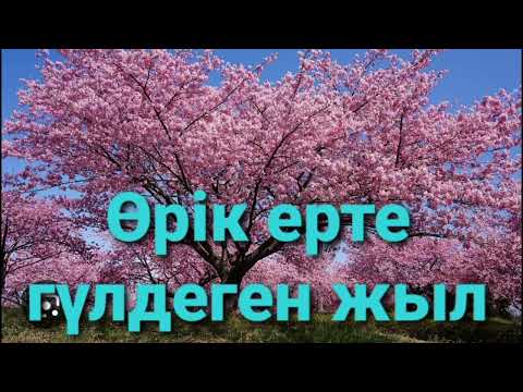 Видео: ӨРІК ЕРТЕ ГҮЛДЕГЕН ЖЫЛ 3-ші бөлім | повесть| Н.Қапалбеков|
