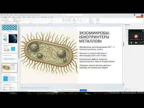 Видео: Практика 3 НД