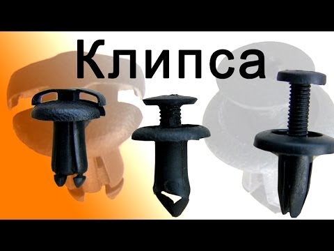 Видео: Клипса