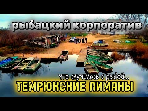 Видео: КОРПОРАТИВ)РЫБАЛКА В ДЕКАБРЕ/ТЕМРЮК. Со слабой психикой - противопоказано!!! #темрюкскиелиманы