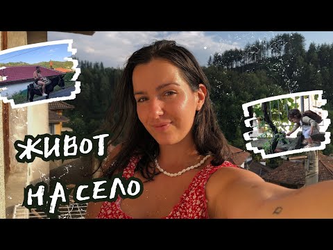 Видео: ПРЕМЕСТВАНЕ В НЕДЕЛИНО | ЖИВОТ НА СЕЛО