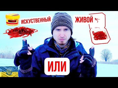 Видео: Искусственный мотыль против живого. Эксперимент - что выберет плотва. Мотыль Лаки Джон.