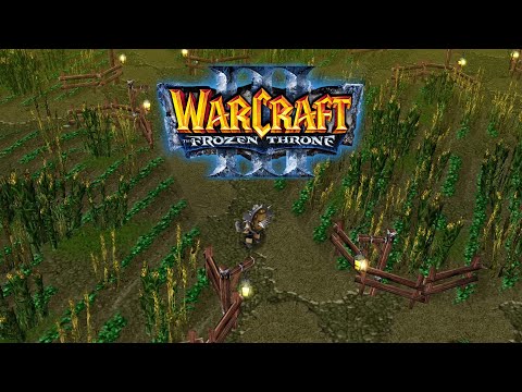 Видео: ЗАПАДНЫЕ ДЕРЕВНИ! - ГОРЯЩИЕ ПОЛЯ! - Warcraft 3 #6