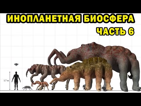 Видео: Инопланетная биосфера - часть 6 - Спекулятивная биология