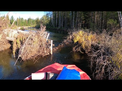 Видео: Самая ЖУТКАЯ река Сибири, ЗАВАЛЫ, заторы, меляки, ЖЕСТЬ пробирались в верховья горной реки как могли
