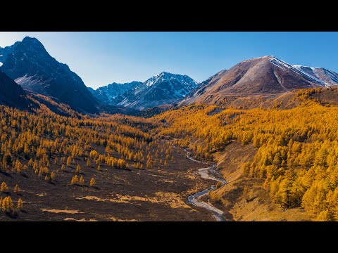 Видео: Золотая осень на озере Маашей. Каракабакские озера. Алтай 2020