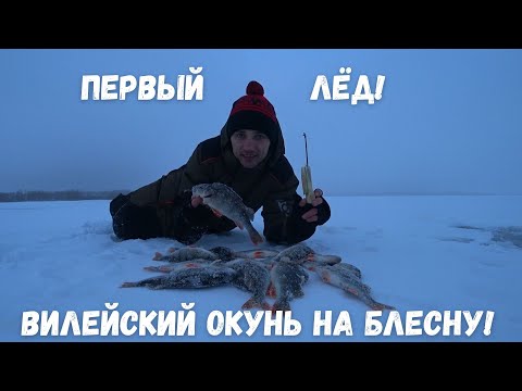 Видео: Зимняя рыбалка! Первый лёд! Вилейское вдхр! За окунем с блесной!