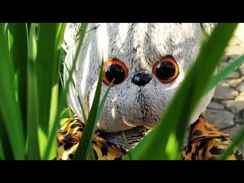 Видео: Подборка басиков из тт💗 #басики #подборка #подпишись