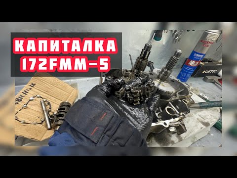 Видео: КАК+РАЗОБРАТЬ+172FMM 5
