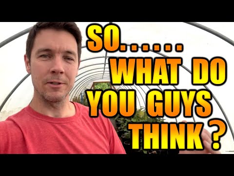 Видео: Воздушные отводки растений с фольгой и без нее | Какой способ обеспечивает более быстрый рост кор...