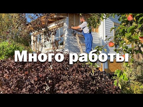 Видео: Первое дело осени сделано // Шью сайдинг, что есть силы // Спасаюсь от мышей