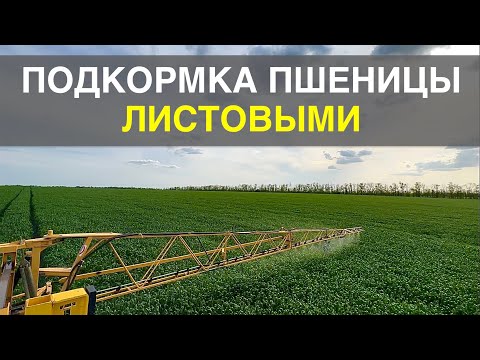 Видео: Листовая подкормка озимой пшеницы