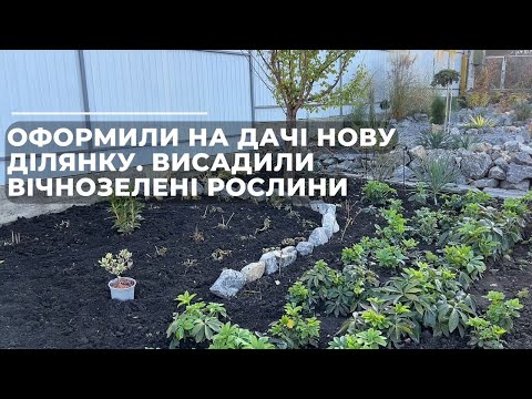 Видео: Оформили на дачі нову ділянку. Висадили вічнозелені рослини