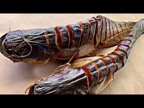 Видео: Сом холодного копчения. Как коптить рыбу холодным копчением.