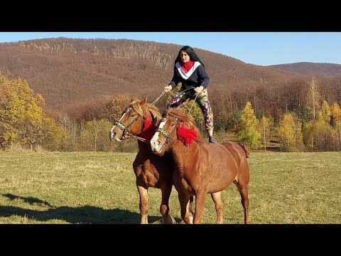 Видео: 🥁🤯Вершниця Наталя🎯 Амазонка Березовів📍💣🚀🧨♠️
