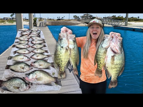 Видео: Мы ловили рыбу в УЖАСНУЮ ПОГОДУ ради ОТЛИЧНОГО КЛЁВА! — ОСЕННИЕ ПЛИТКИ БЫЛИ СЛОЖЕНЫ! (Поймай, поч...