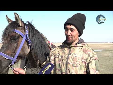 Видео: ҚАЗАҚТЫҢ ЖАБЫ ЖЫЛҚЫСЫН КӨБЕЙТІП ЖАТЫР / АГРО АЙМАҚ / 16.04.2025